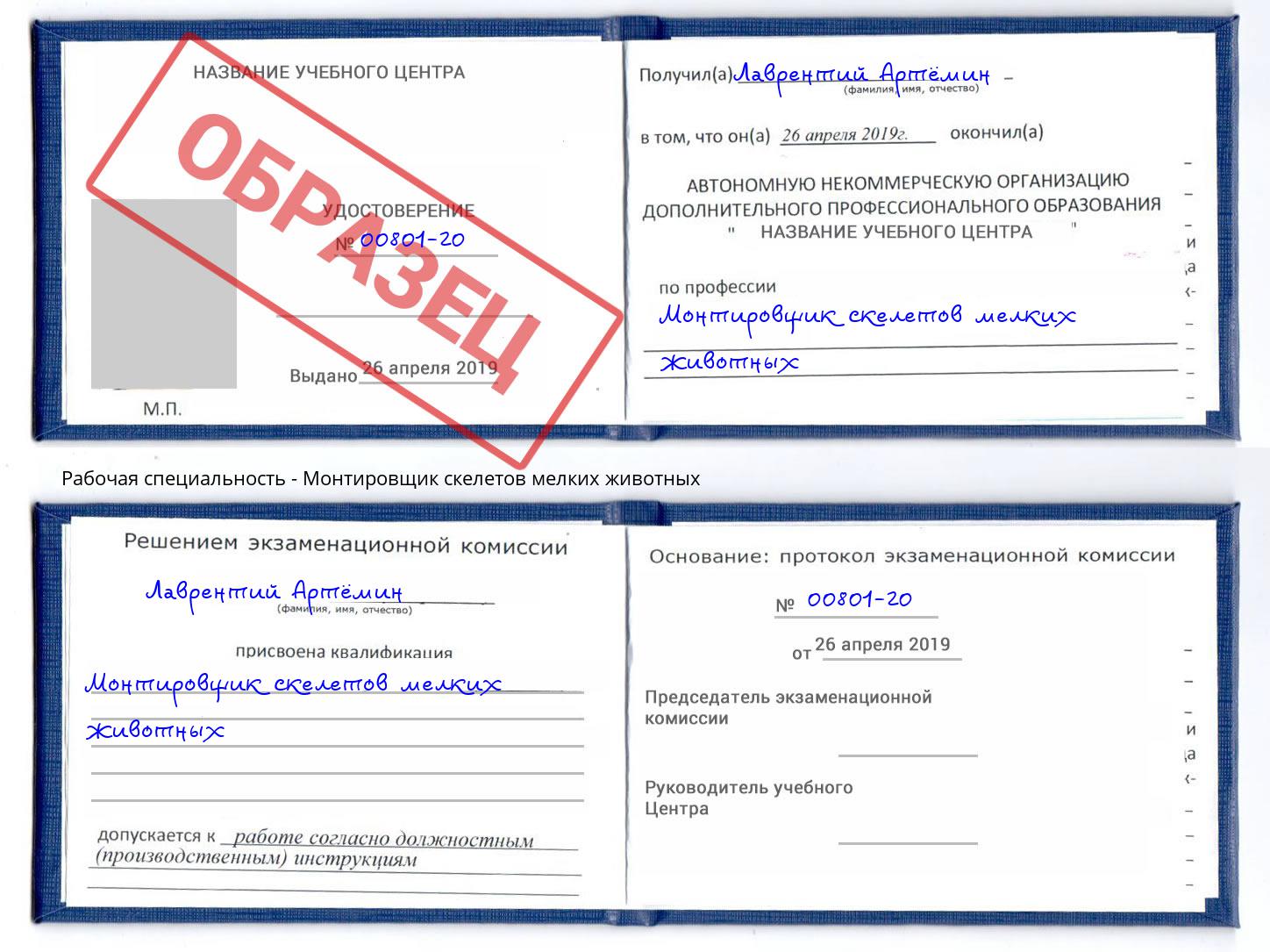 Монтировщик скелетов мелких животных Воткинск